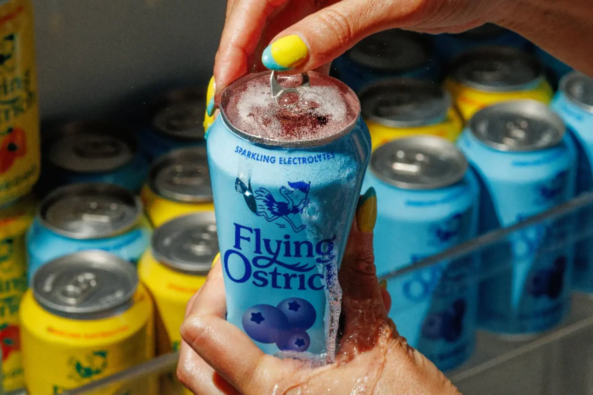 Flying Ostrich Mixed Pack 4