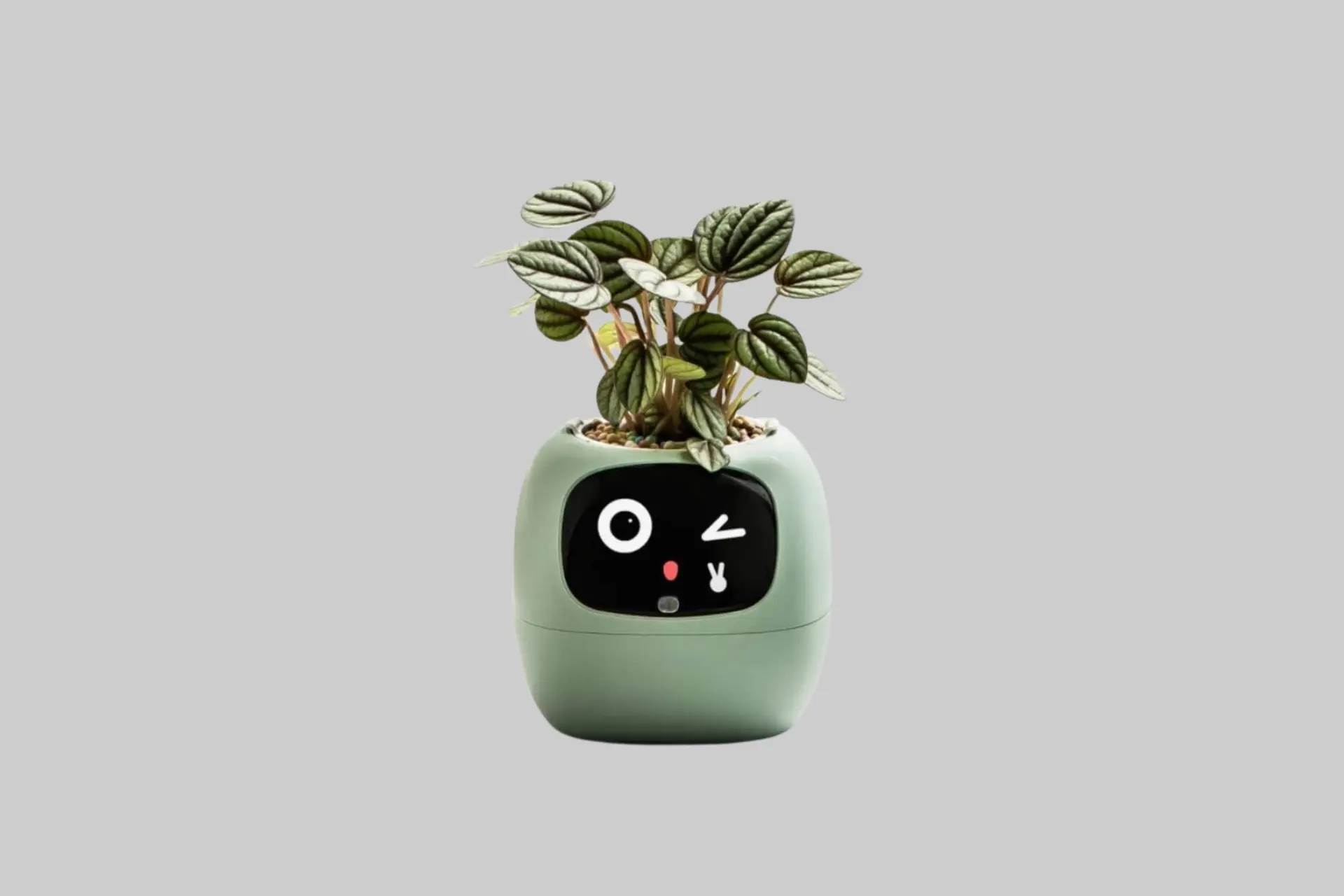 The PlantsIO Ivy Gen 2 smart desk planter showing its animated emoji display face on a clean workspace, with a small plant growing in the built-in pot.