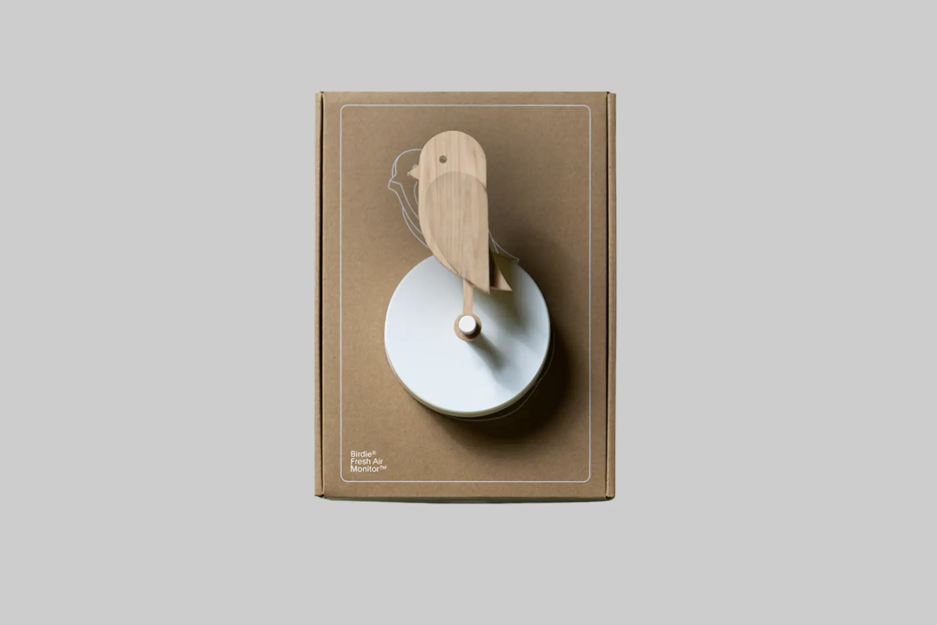 Birdie Fresh Air Monitor 1