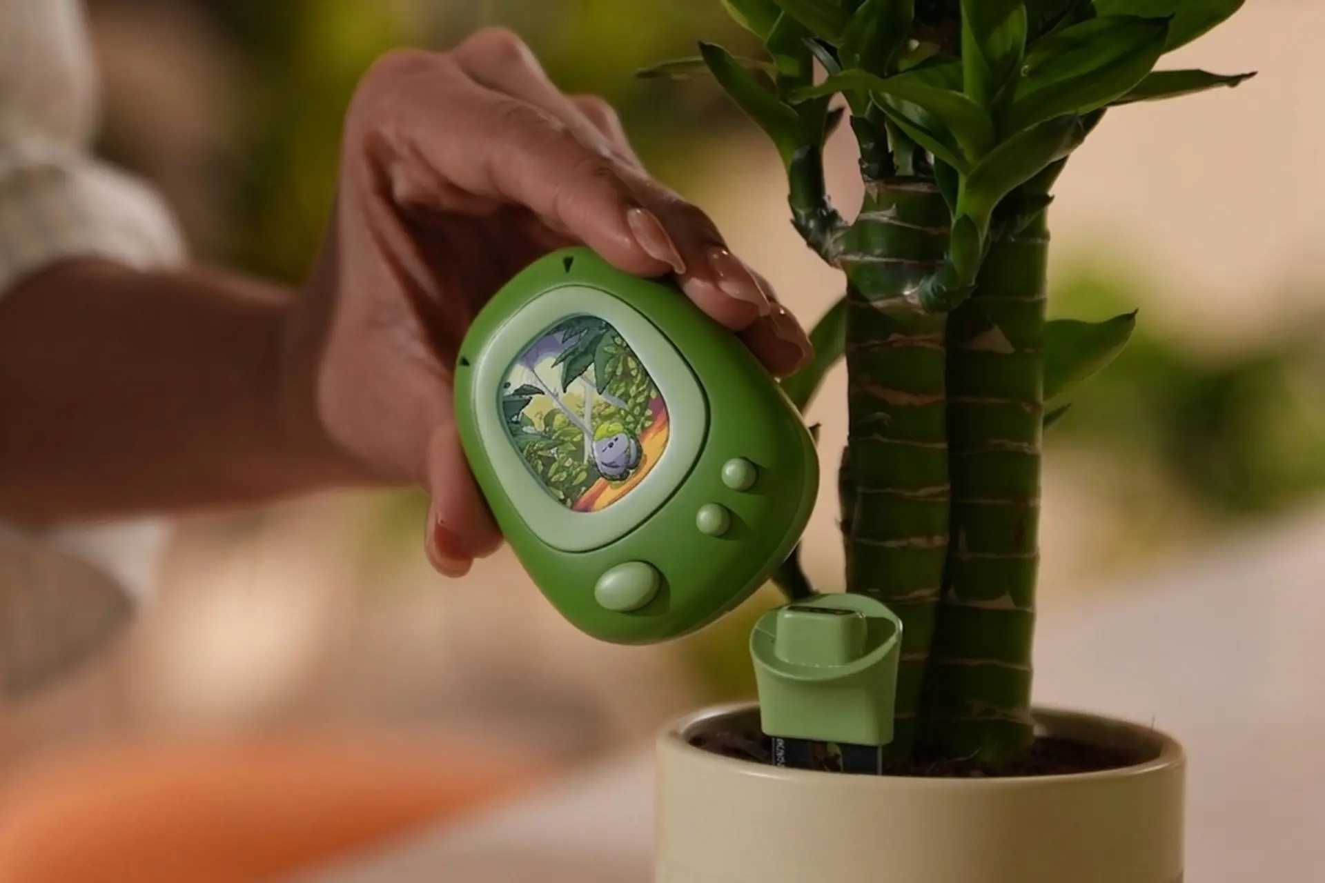 PlantSenso AI Plant Sensor 3