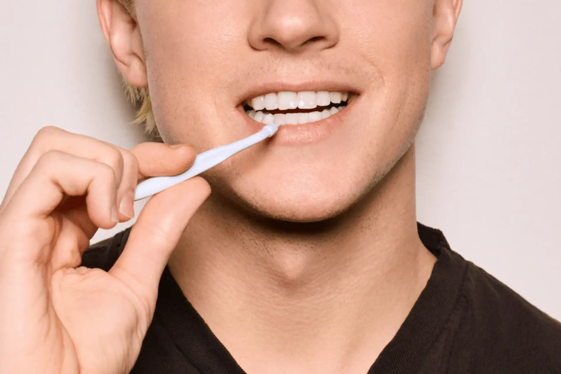 Stimmie Reusable Toothpick 2